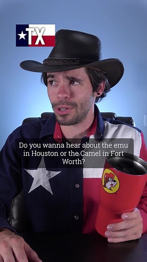 So, tell me about your animal story...