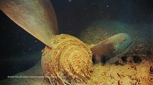 The Age of AI calls for an evolution in education, one that equips...