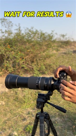 tamron 150-600mm lens #photography #birds #camera #wildlife #nikon