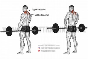 Barbell shrug exercise instructions and video | Weight Trainnig Guide