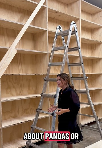 Home Library Tour: Transform Your Space