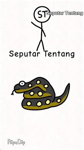 Seputar Tentang anaconda #ular #anaconda #hewan #pengetahuan #rawa
