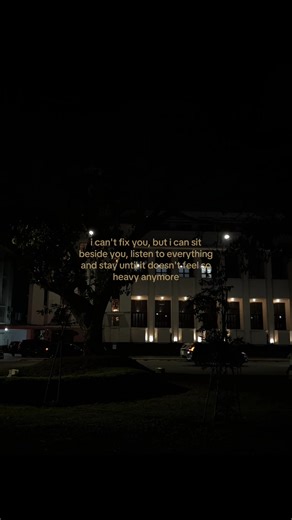 I Can't Fix You But I Can Sit Beside You — comforting words explained