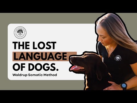 The Lost Language of Your Dog’s Nervous System | Waldrup Somatic Method