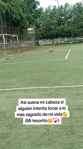 Mi vida entera 💟 #nala #mibbe #consentida #feliz #parati