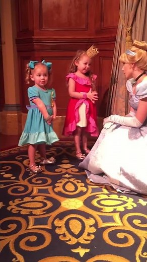 Meeting Cinderella at Disney! June 2017