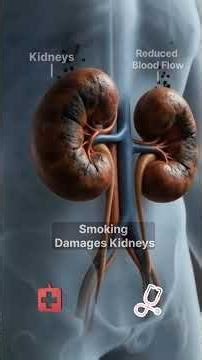 What Happens Inside Your Body When You Smoke a Cigarette | 3D Human Anatomy Animation