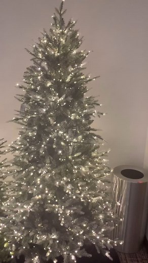 Christmas in July! We had the stay out today and check out my video preview of some of the goodies! All the holiday fun begins on June 22 and throughout the month of July. We will have “David’s Great Big Christmas” this year. More on that later. Enjoy! 🎄🎅🏻🤶🏻🌟 #christmasinjuly #deals #holidayfun | David Venable QVC