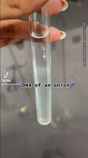 DNA of an onion🧅🧬🤓