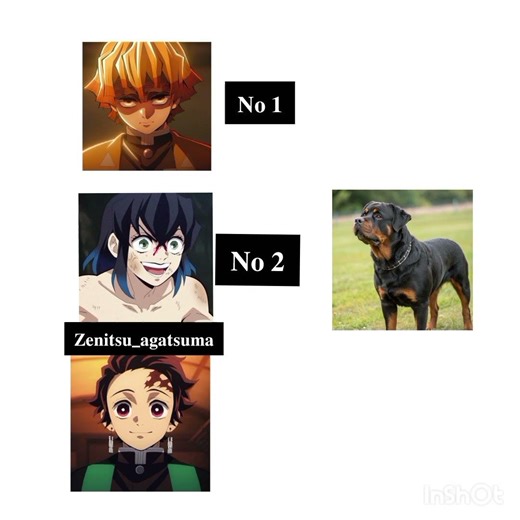 duniya ke teen sabse khatar nak kute no1 zenitsu no2 inosuke no3 tanjiro😂😂😂 #demon slayer