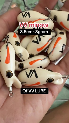 Exploring VV Minow and VV LURE in Việt Nam