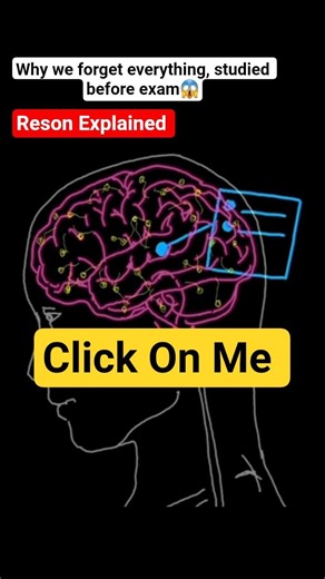 Why we forget everything, studied before exam 😱 | FactraQuest | #shorts #study #brainscience #facts