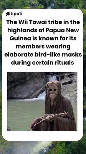 Inside the Secret World of the Wii Towai Tribe | The Spirit Birds of Papua New Guinea