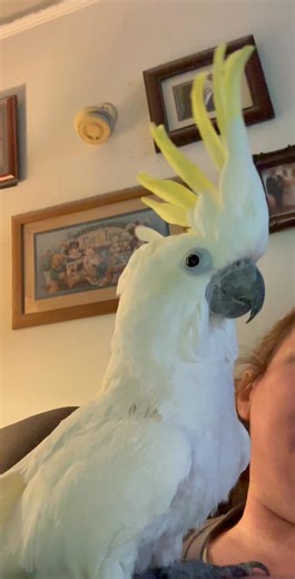 Christine M Robinson-Wollerton on Reels