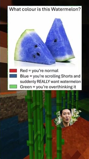 The watermelon test will judge you #mindgames #funny