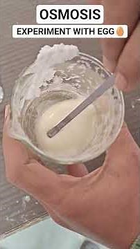OSMOSIS: EXPERIMENT WITH EGG 🥚#education #neuroleafinstitute #science #experiment #practical