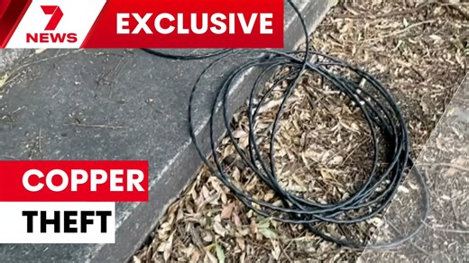 Copper thieves threw trains into chaos, stopping services in their tracks after ripping up cables to a key signal box in Penrith. 📱Download the 7NEWS app: 7news.link/7newsapp #7NEWS | 7NEWS Sydney