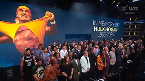 Hulk Hogan wasn’t just a wrestler, he was a larger-than-life figure who helped shape the world of sports entertainment. | USA Network