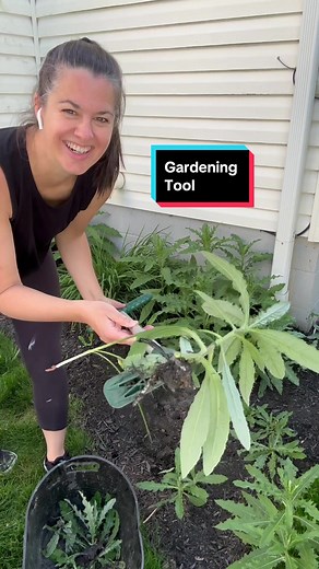 This stand-up weed pulling gardening tool is my new go to! The button that presses the weeds out of the prongs is genius!! #TikTokMadeMeBuyIt #TikTokShopSummerSale #viralproducts #momsoftiktok #gardening