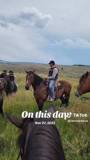 Understanding Livestock Agents and Their Roles