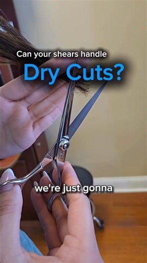 Sharpened Twice, Still Sharp — Japanese Steel Shear Test