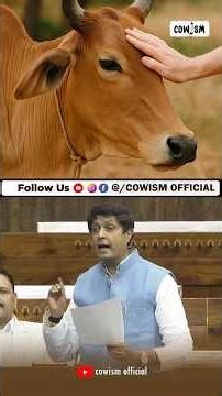 Congress MP Demands Ban of Cow Slaughter and Desi Cow Be Declared As Rashtramata