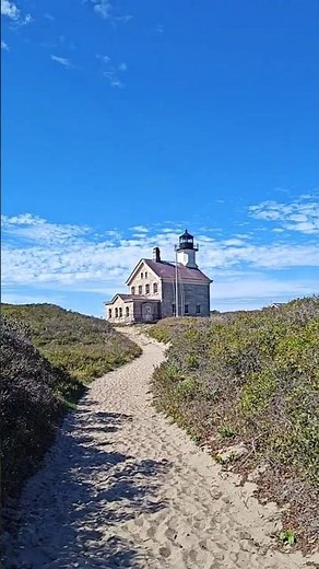 How to do Block Island in 1 day featuring dolphins & seals
