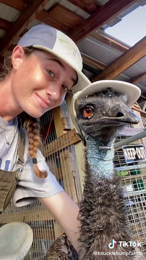 It’s ain’t easy being this steezy 🥵 #emmanueltheemu #emu #farmlife #steezy