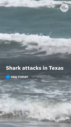 Four people were injured after an apparent shark attack on South Padre Island in Texas during the Fourth of July holiday. Story: https://bit.ly/4eP6wnU | Austin American-Statesman