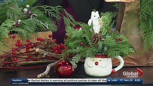 Caring for your outdoor winter containers