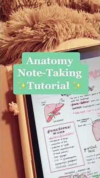 Tutorial on how I take notes for Anatomy 🥰 Good notes 5