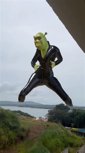 Que tipo de sherk es este?🤨