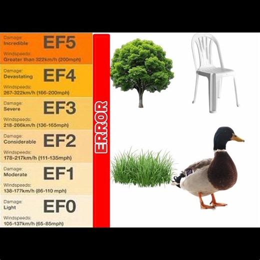 anomaly team😂😂 (special 25k subs)#duck #chair #tree #grass #memes #fyp #chase #automobile