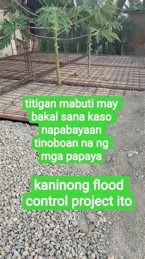 nasaan na kaya ang budget sa flood control project na ito higit kumulang 100 million daw #viralvideo