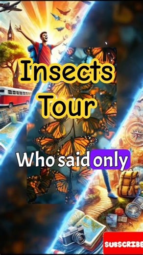 Top 5 Migrating Insects 🦋🌍 | Incredible Insect Journeys