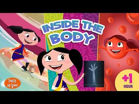 INSIDE THE BODY l Earth to Luna