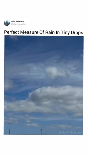 Halal research on Instagram: "The perfect Measure of tiny drops"