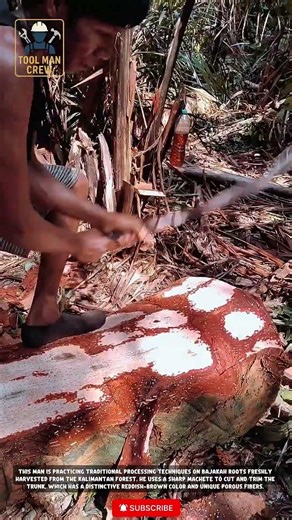 Traditional Way of Peeling Large Tree Trunks Using Sharp Machetes #Alamindonesia #Survival