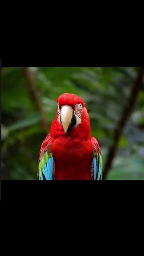 STAR WARS smooth WIPE feathery TRANSITION effect 15 SECOND TUTORIAL!! DaVinci Resolve (Instrumental)