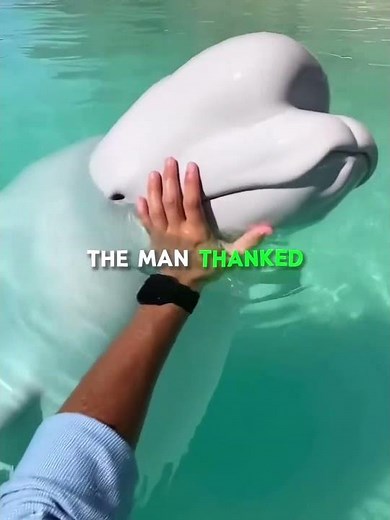 Nature Had Other Plans ❤️‍🩹