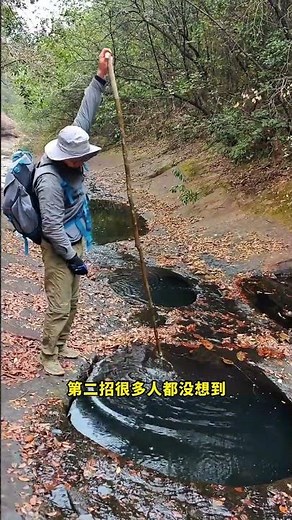 The Enigma of Fish in Every Waterbody: Unveiling the Secrets