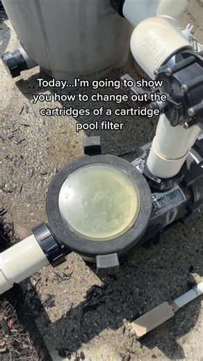 Cartridge filters change #asmr #pooltok #pool #oddlysatisfying #fyp #satisfying #asmrsounds #fypage