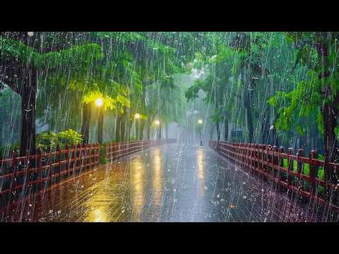 Reduce Stress & Improve Sleep with Natural Rain Sounds on an Empty Road at Night