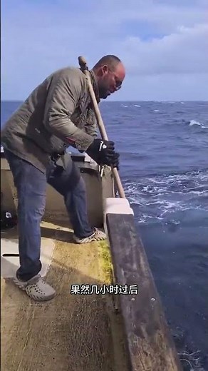 Monster Catch Incoming! Angler Tests Live Flying Fish Bait: The Epic Battle with a Deep-Sea Marli...