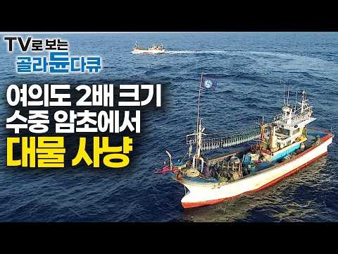 수심 400미터 수중 암초 바닥에서 끌어 올린 그물에 귀한 대게가 줄줄이 딸려온다｜통발 대신 그물 깔아놓고 20일만에 건져올리는 대물 대게 사냥꾼｜바닷가 사람들｜#골라듄다큐