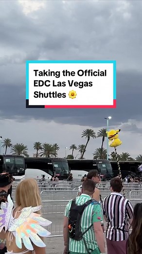 ravetourguide on TikTok