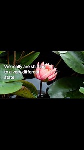 METAMORPHOSIS OF SOUL. We are going through the darkest moment before the Awakening. The lights of change into transformation are already seen. The Light shines so much brighter and the darkness is getting ever thicker. Everything is exposed.Incoming energy does not break. You transform or you transform. Duality dissolves, Unity is defined in concrete and visible action.Supporting Light is imperative, fundamental and healthy for all humanity and the planet. This accelerates the transformation pr