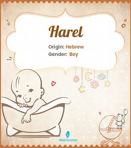 Harel Name Meaning, Origin, History, And Popularity