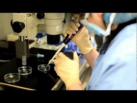 Egg Donation/ Donor Egg Program