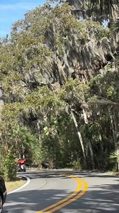 Take a drive down 'The Loop' in Ormond Beach